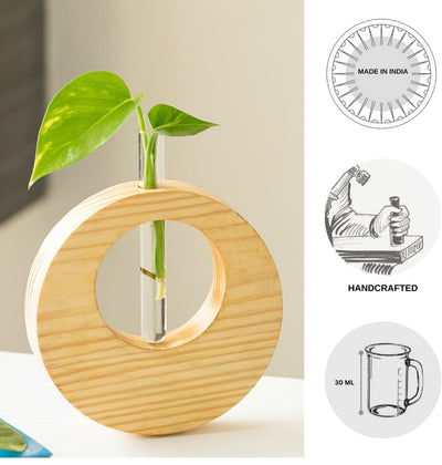 Stylish and modern planter featuring a glass test tube held within a wooden circular frame.